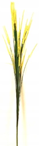 19e027154fe98a73077134fe9212