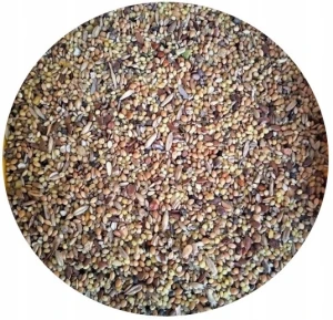 Pokarm dla Ptaków Zimowy Karma Mix Ziaren 1 kg