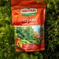 MS iglaki.JPG.jpg