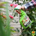 naturalny spray na choroby grzybowe