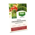 lepinox_30g.png